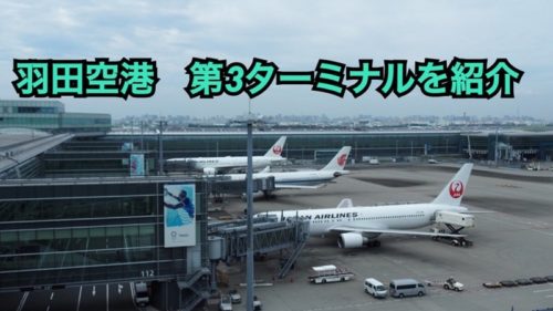 羽田空港を発着する航空会社を第1・第2・第3ターミナルごとにそれぞれ解説 モリブロ